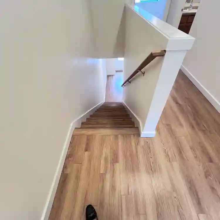 Looking for a roommate