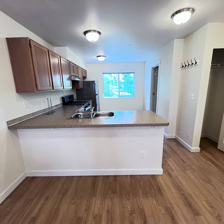 Looking for a roommate