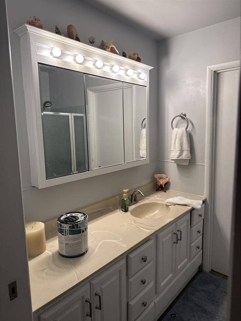 Roommate wanted No pets!