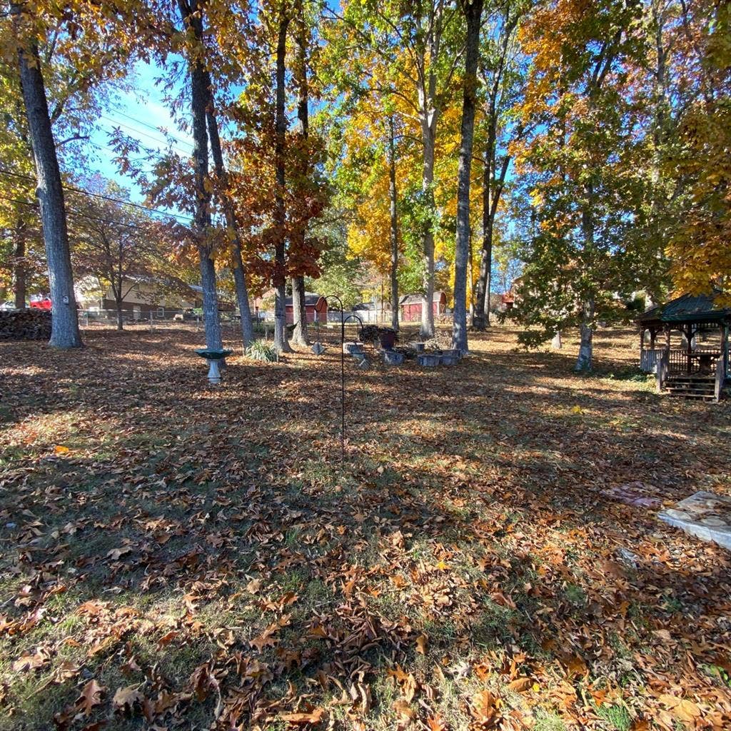 Studio Apartment (Private Entrance)