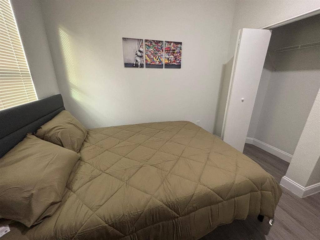 8 BR in Tampa