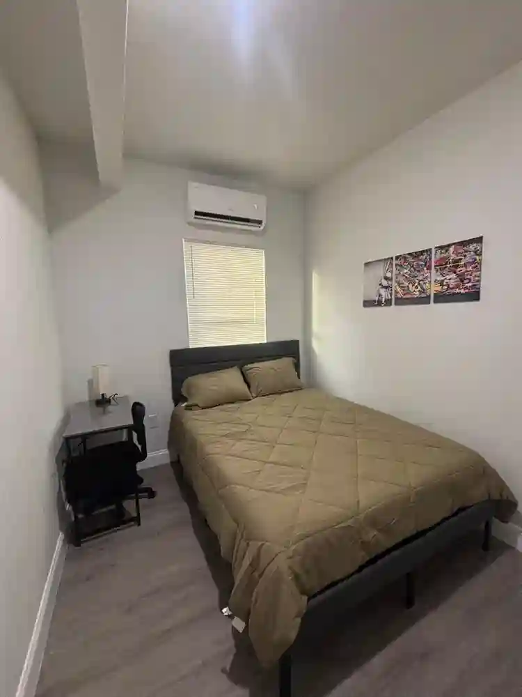 8 BR in Tampa