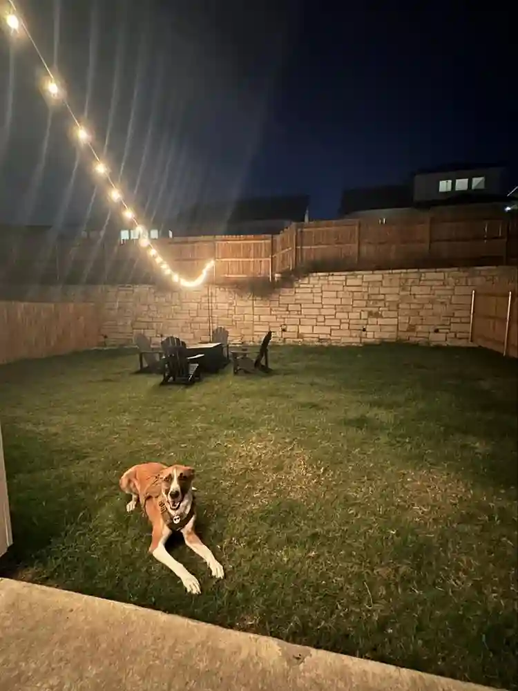 Room for Rent - South Austin