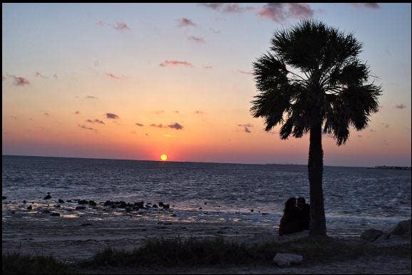 6 BR in Tarpon Springs