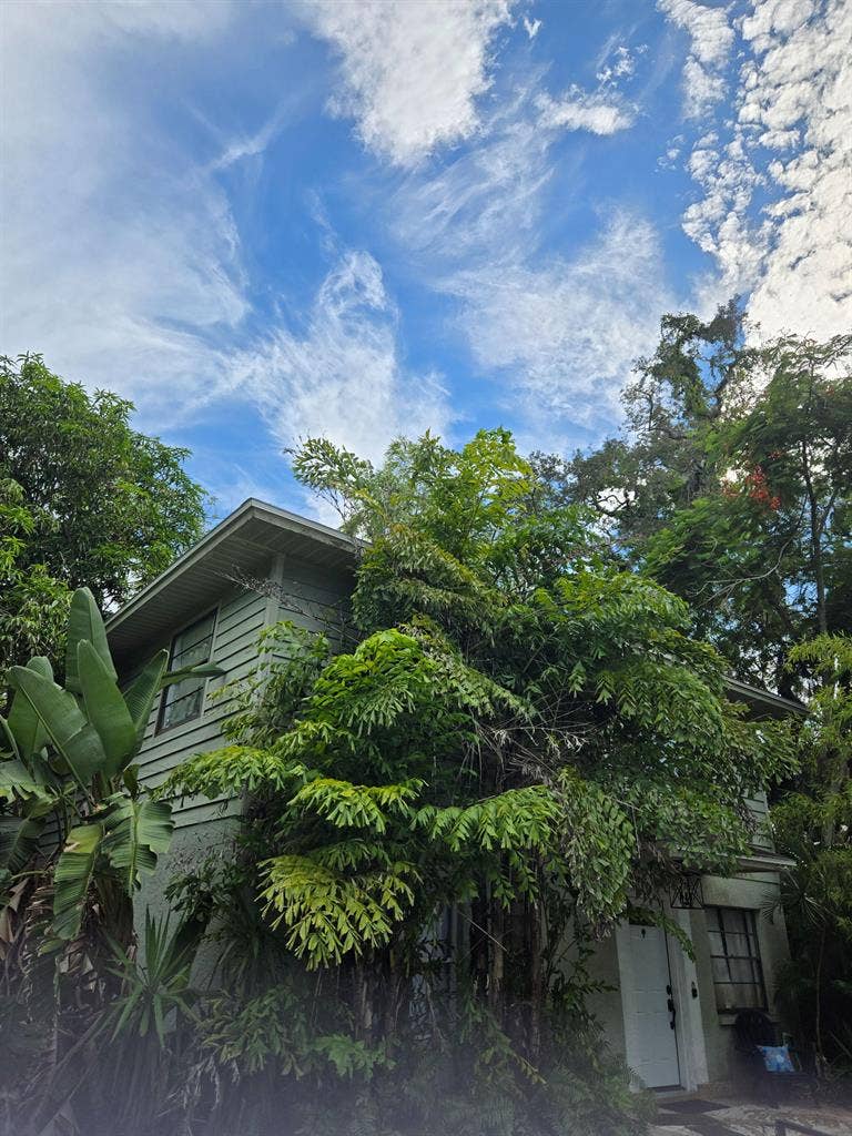 6 BR in Tarpon Springs