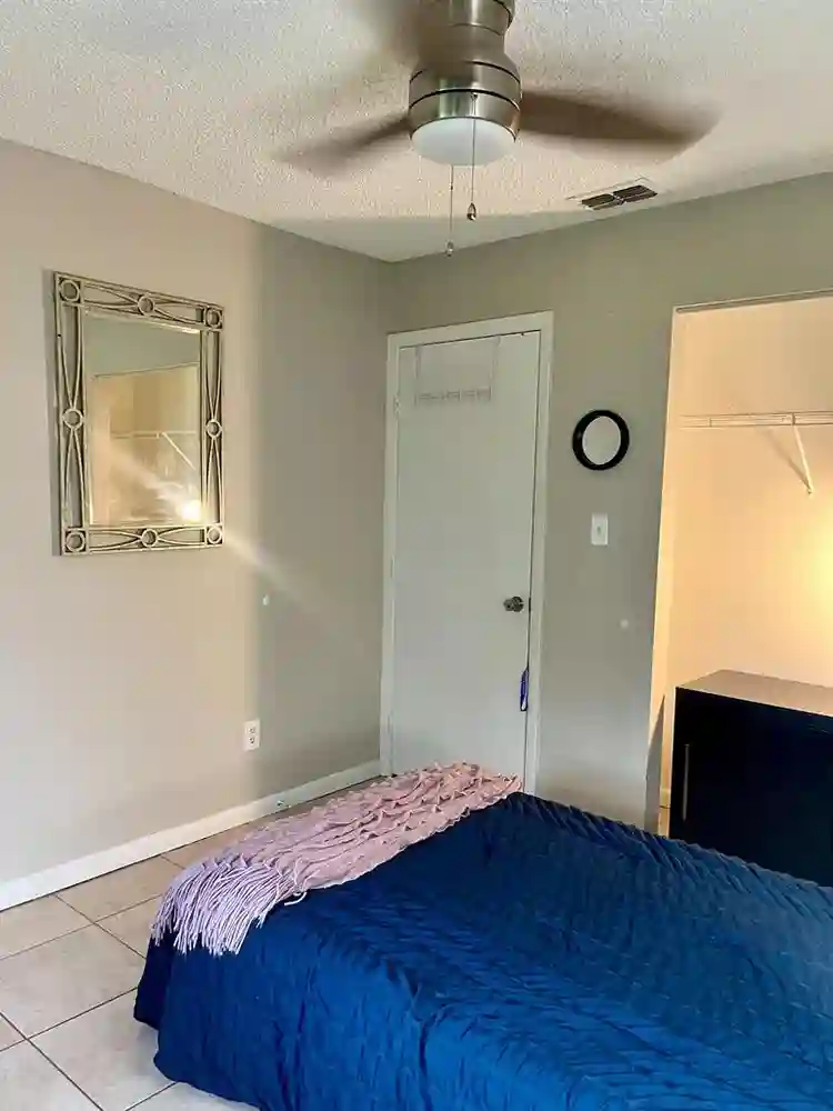 3 BR in Tampa