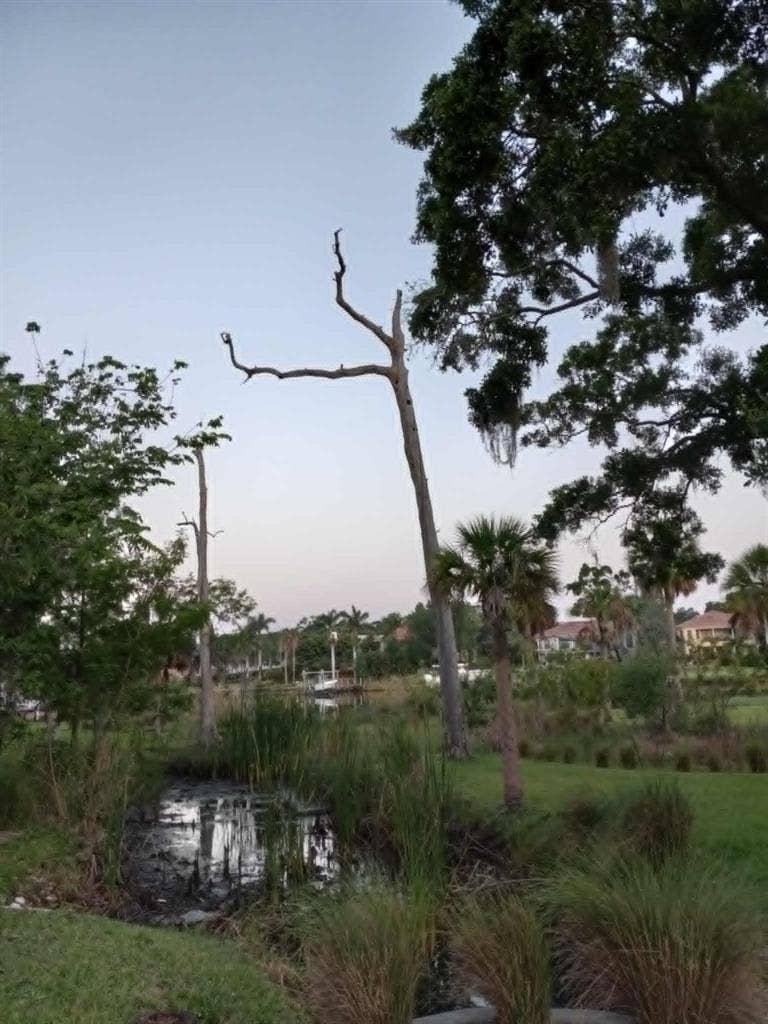3 BR in Tampa