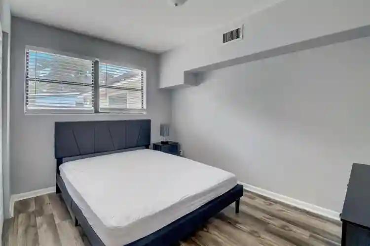 8 BR in Jacksonville