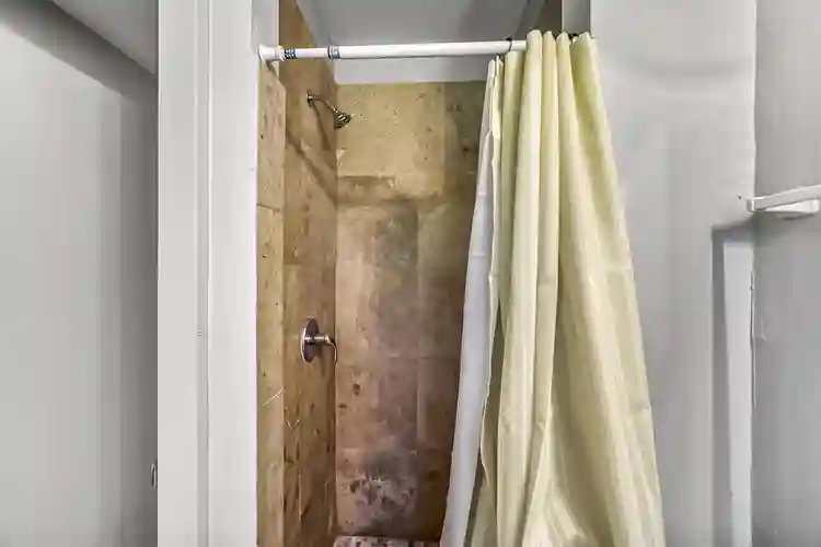 8 BR in Jacksonville