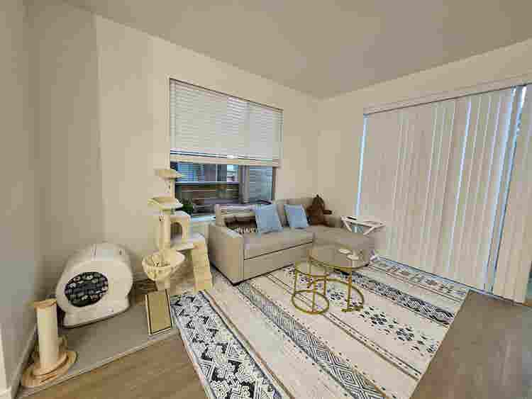 Looking for a female roommate