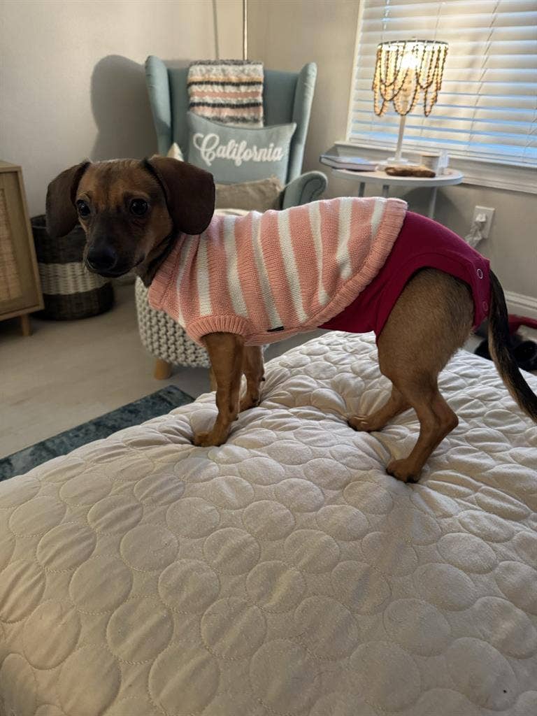 Private BD/BA in Renovated Townhome