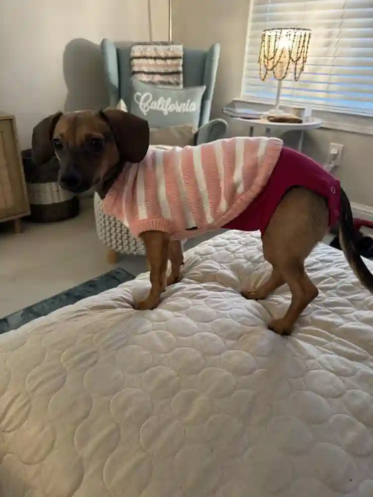 Private BD/BA in Renovated Townhome