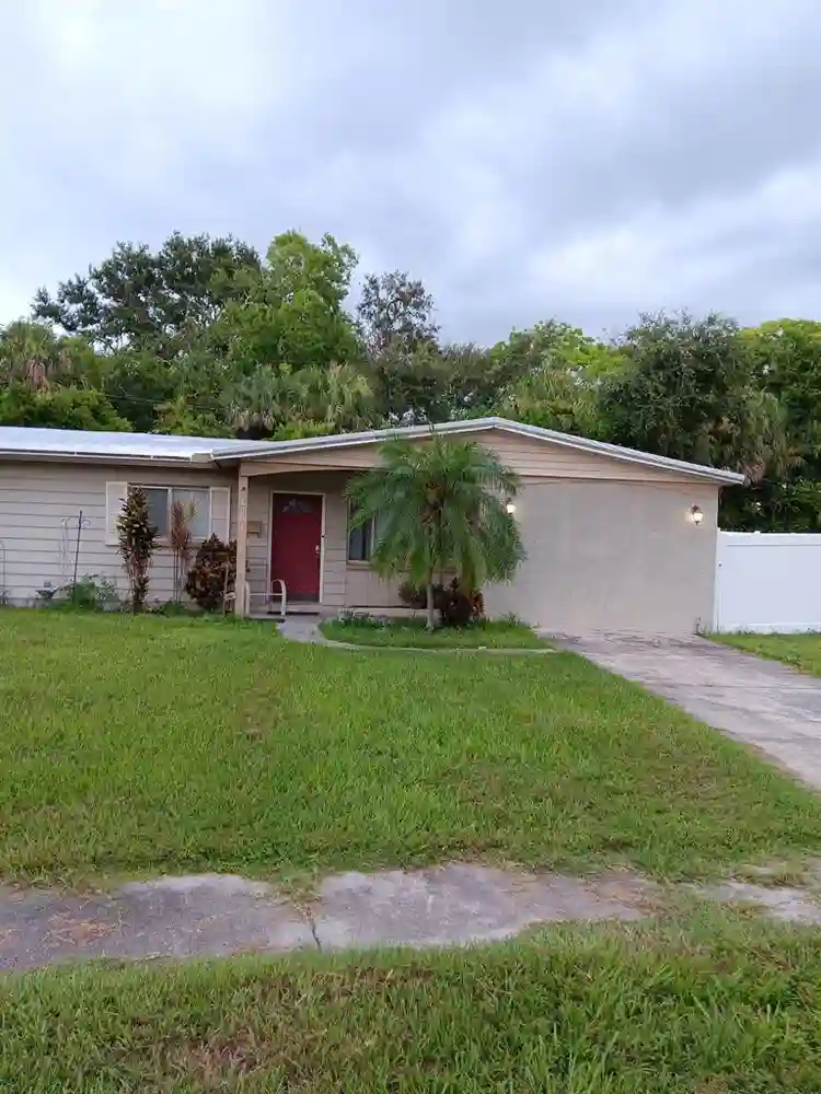 3 BR in Tampa