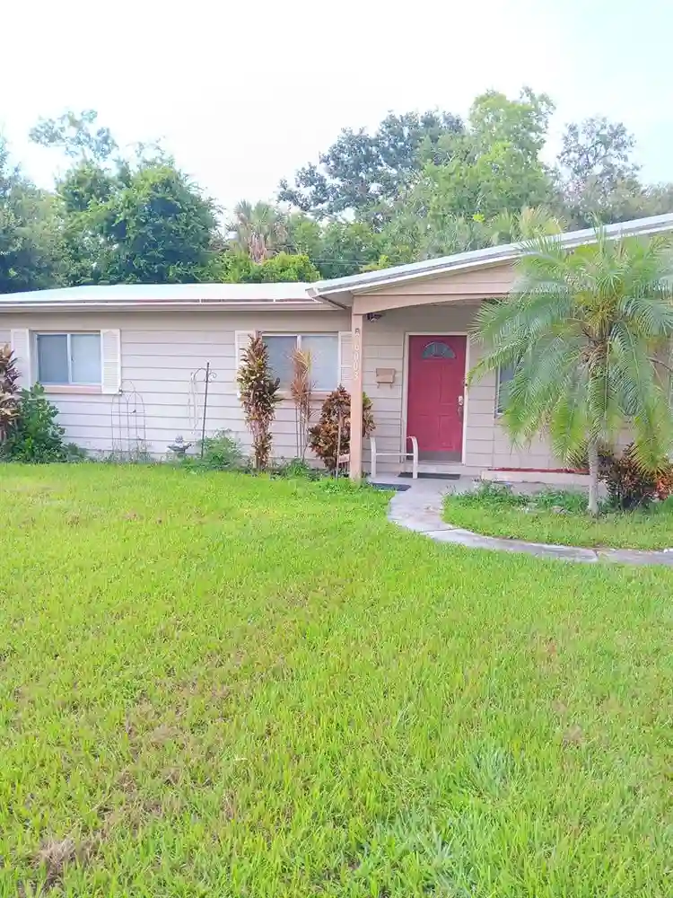 3 BR in Tampa
