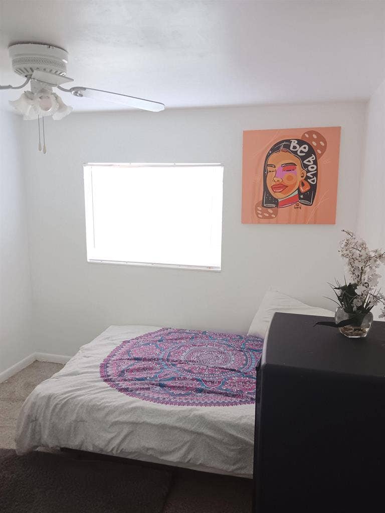 3 BR in Tampa
