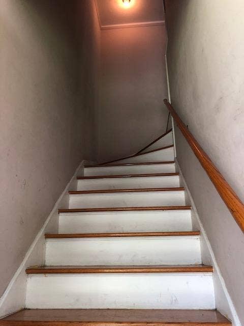 Look for a student/professional