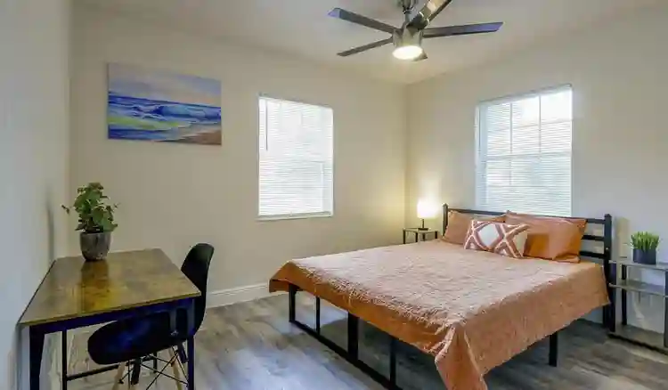 7 BR in Tampa
