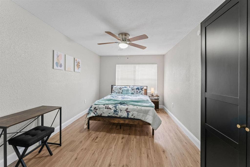 6 BR in Tampa
