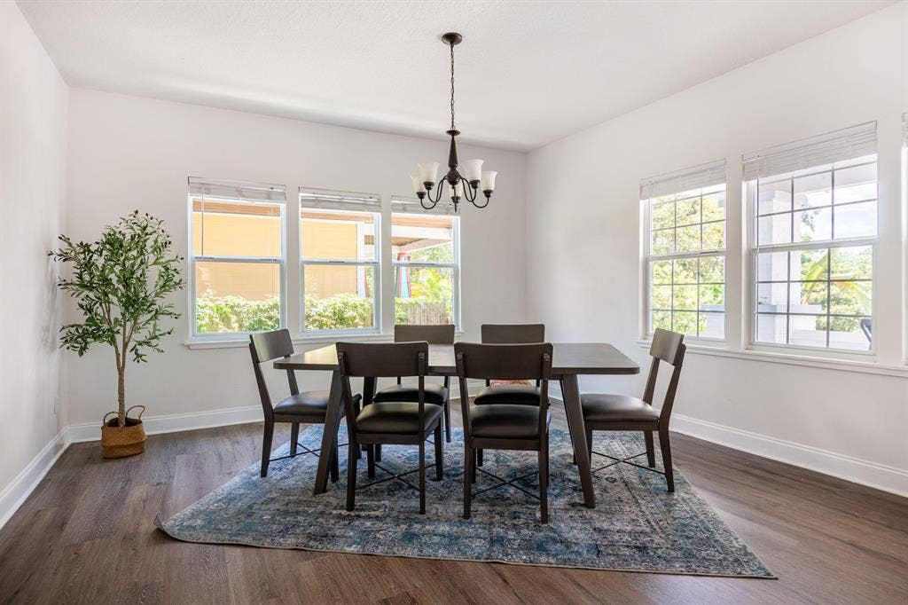 5 BR in Tampa