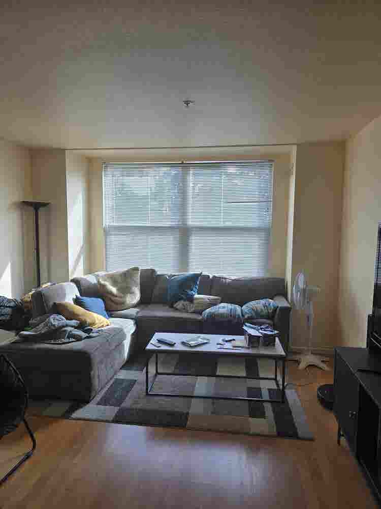 Roommate needed: Oceanview Terrace