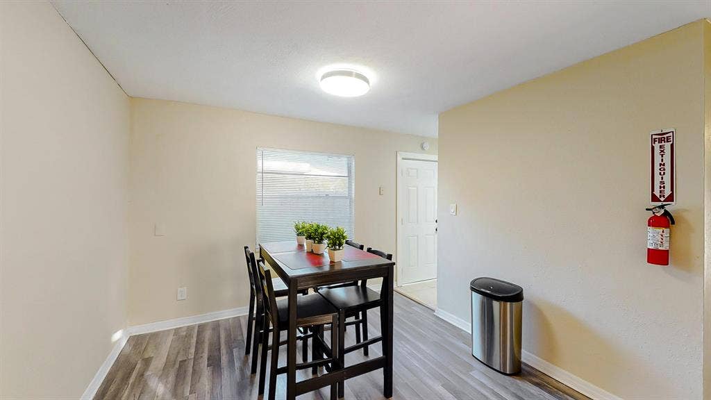 7 BR in Tampa