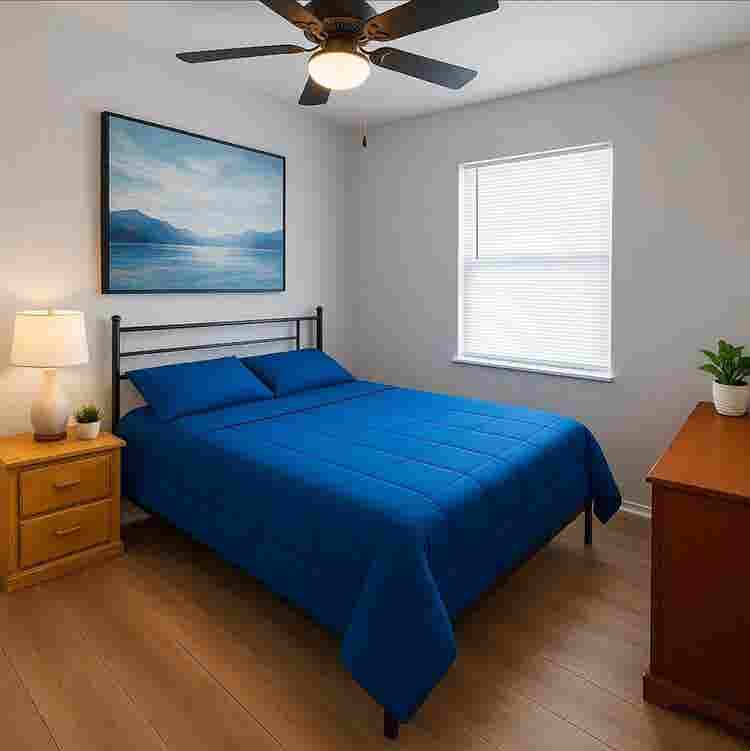 Shared Living in SW Atlanta