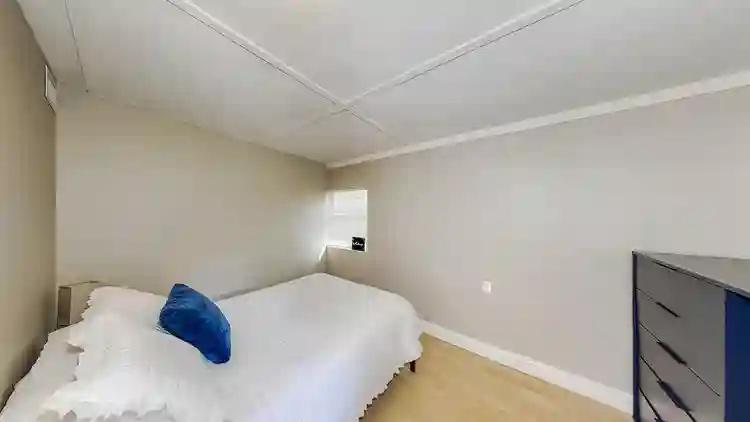 6 BR in Tampa