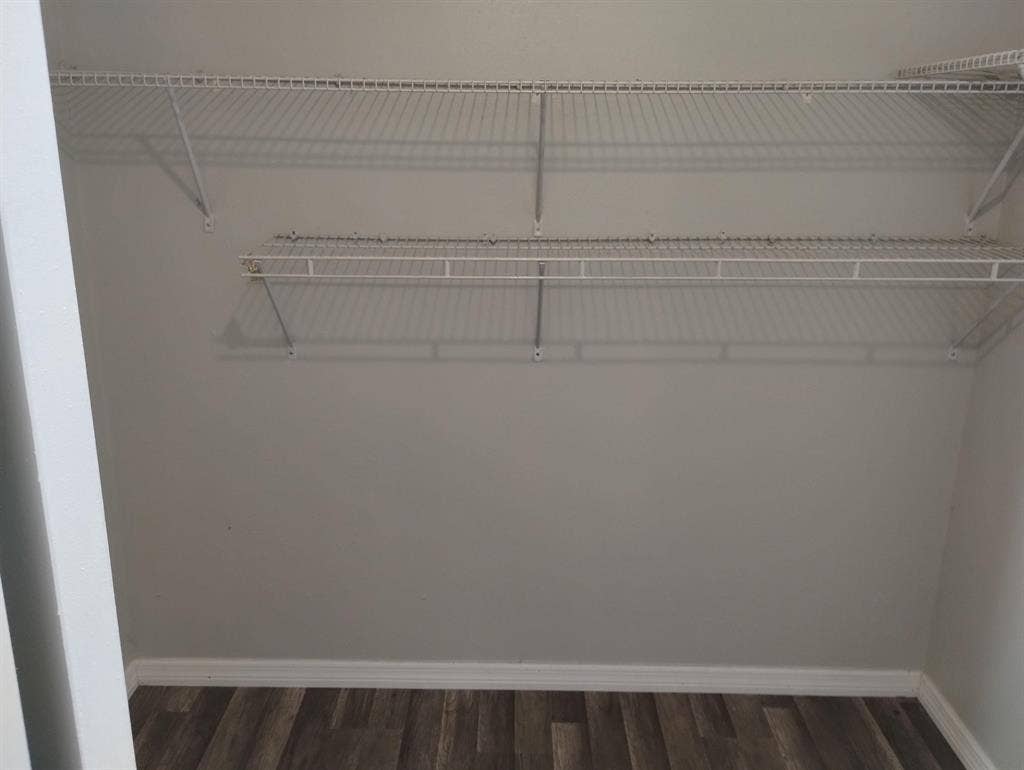 5 BR in Tampa
