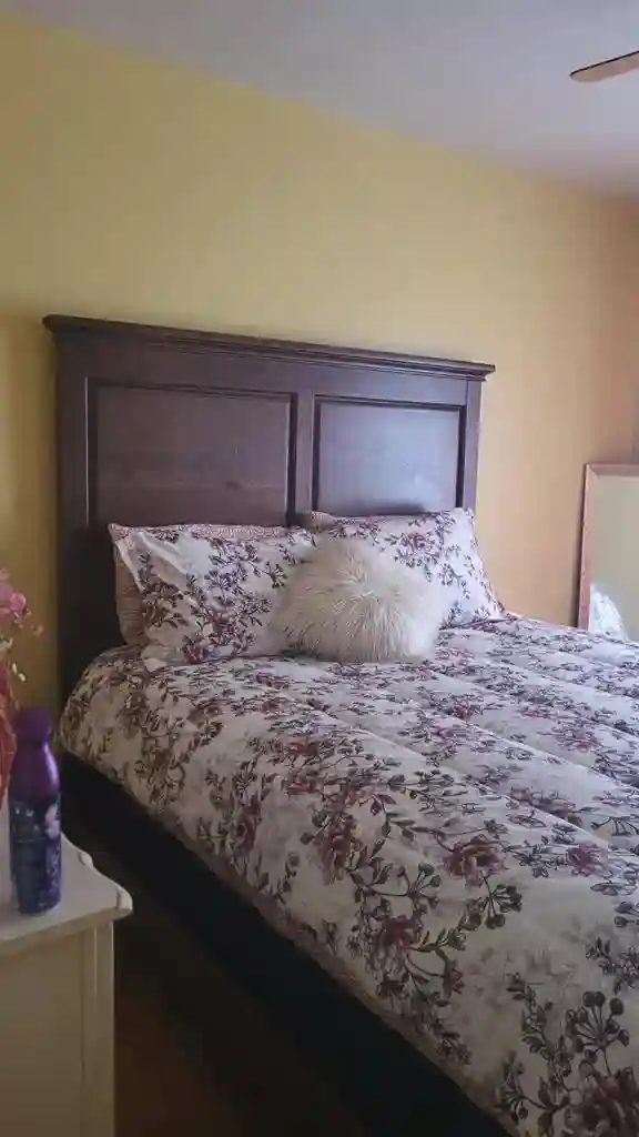 3 BR in Stone Mountain