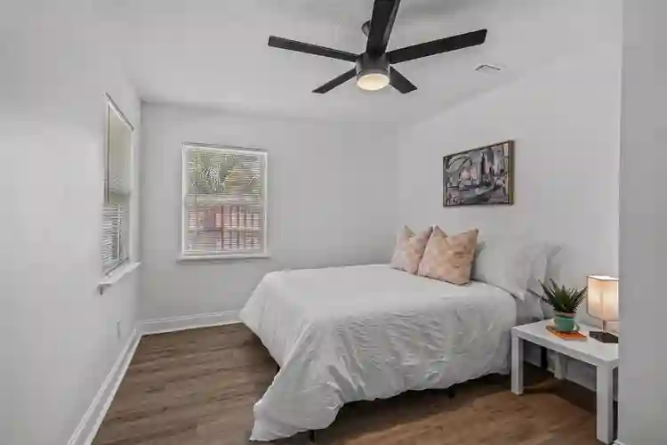 8 BR in Tampa