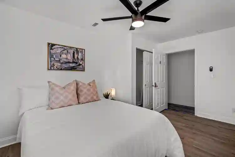 8 BR in Tampa