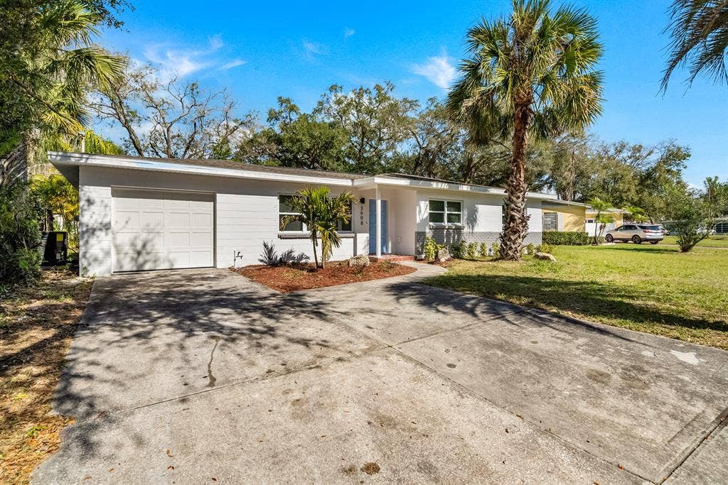 8 BR in Tampa