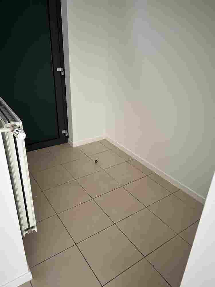 Light and central studio for rent