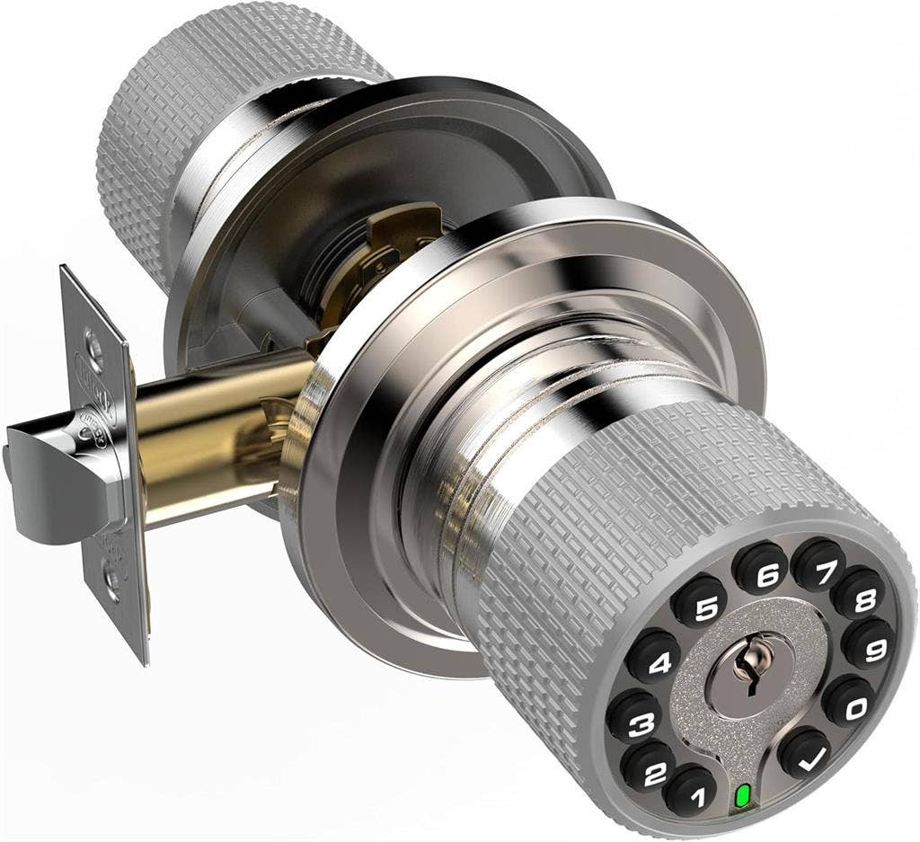 9 BR in Jacksonville