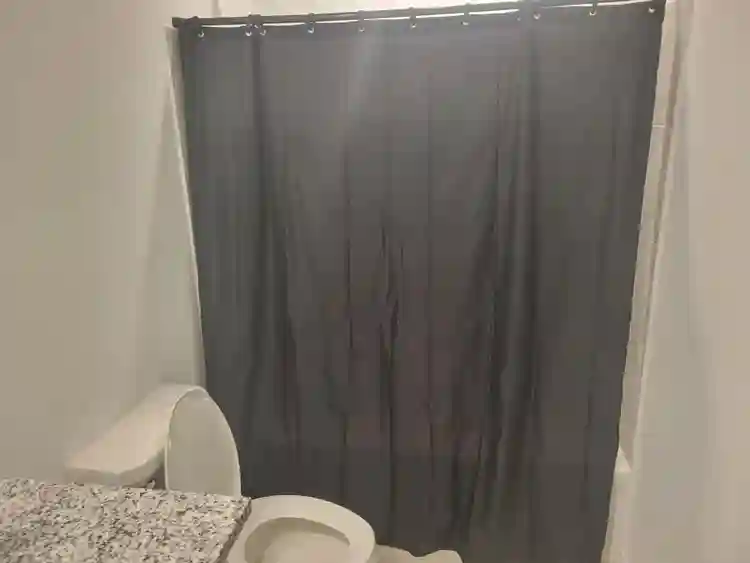 1 BR in Dallas
