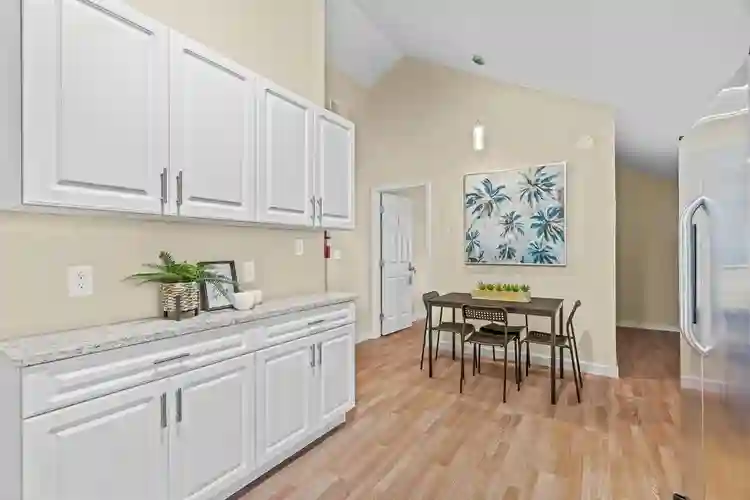 4 BR in Tampa