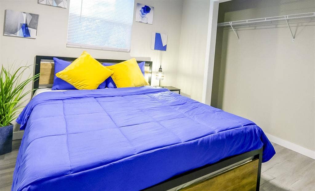 6 BR in Tampa