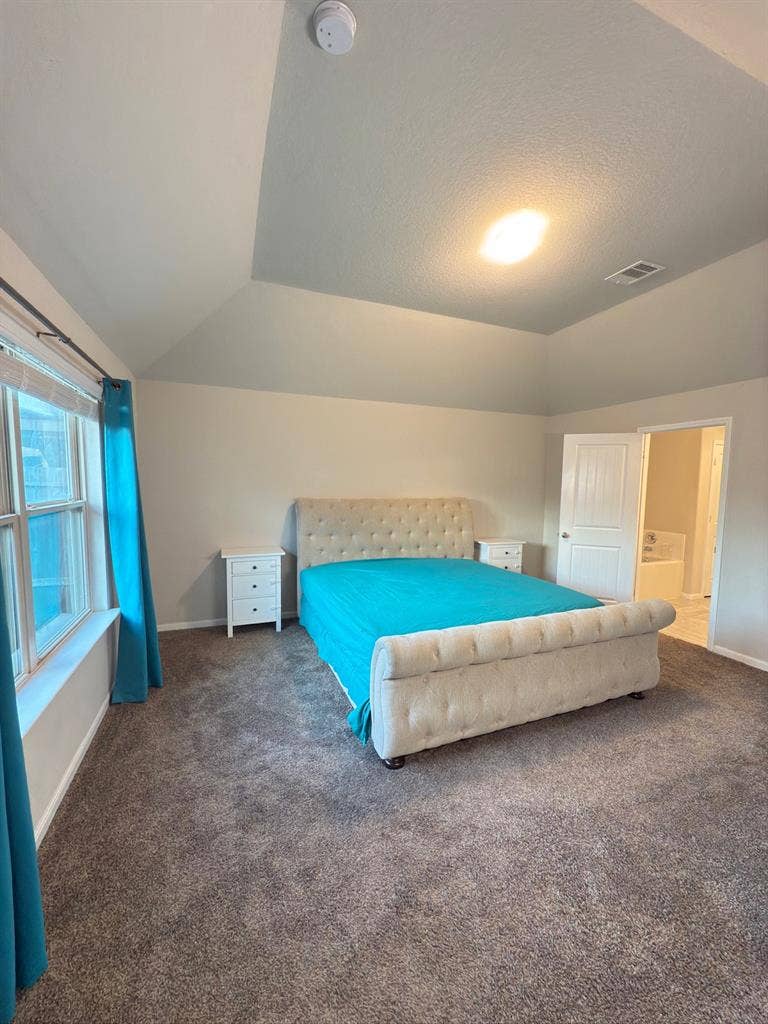 E Hillock Lane Houston