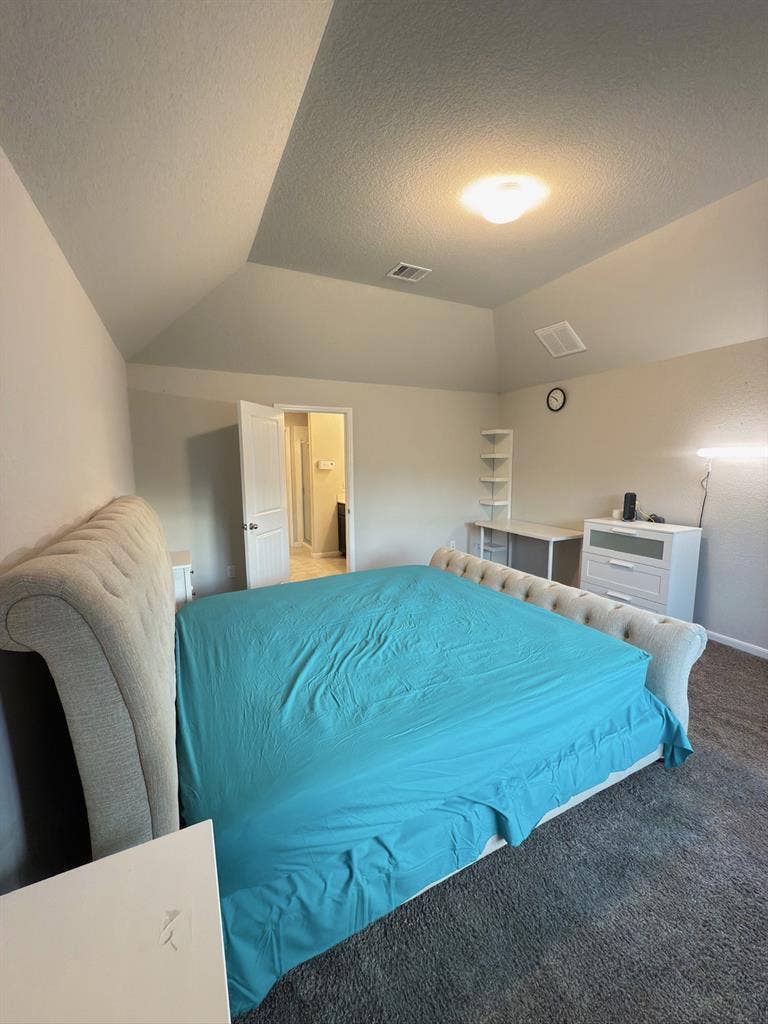 E Hillock Lane Houston