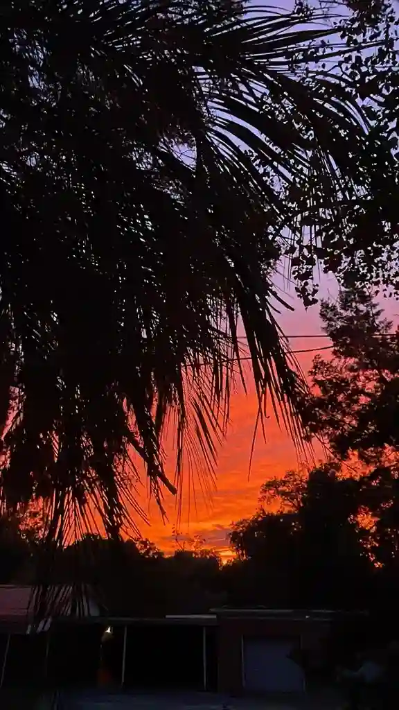 9 BR in Jacksonville