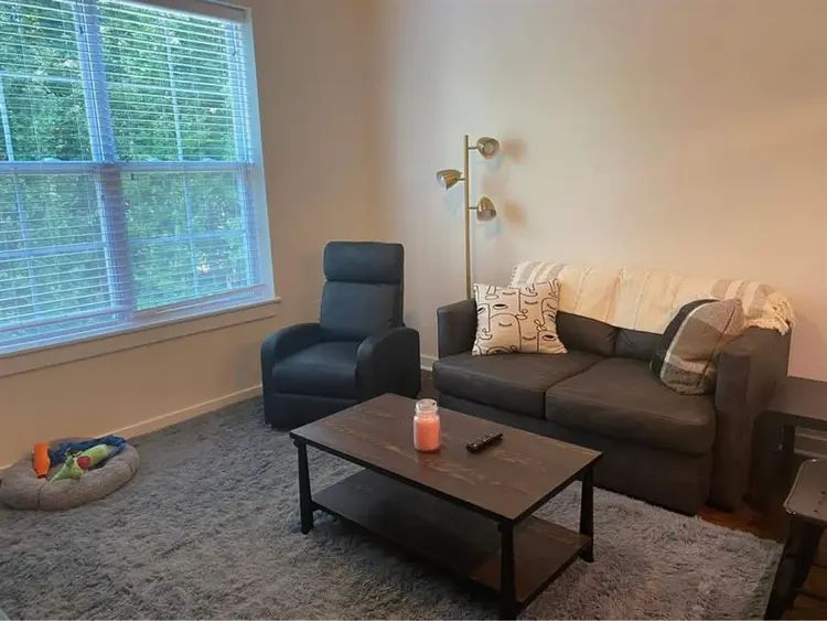 Apartment for sublease: Spring