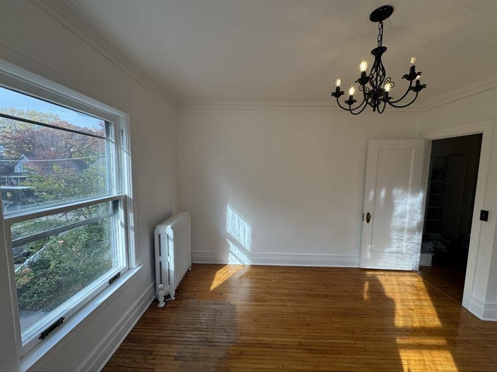Musician/Night Owl Roommate Wanted