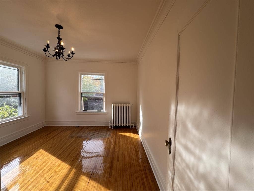 Musician/Night Owl Roommate Wanted