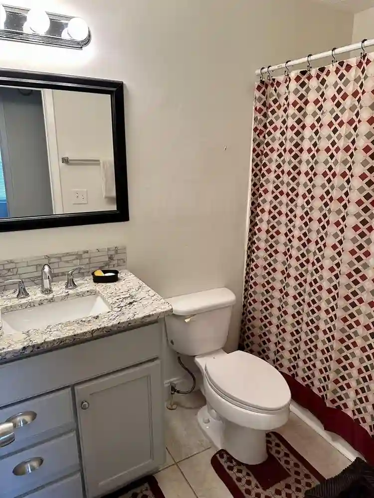 1 BR in Stone Mountain