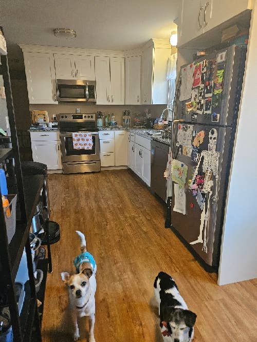 Homeowner looking for roommate.