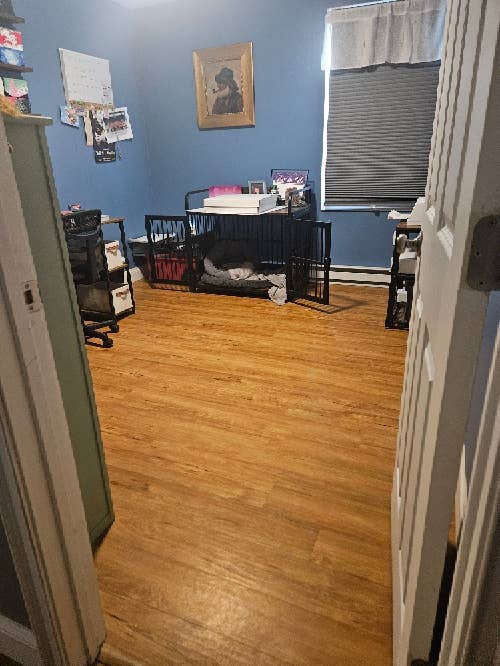 Homeowner looking for roommate.