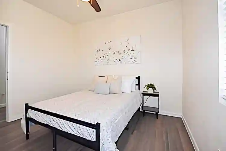7 BR in Houston