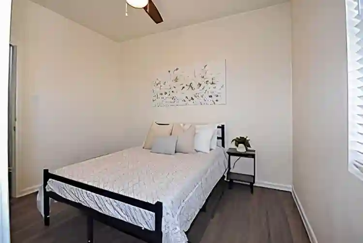7 BR in Houston
