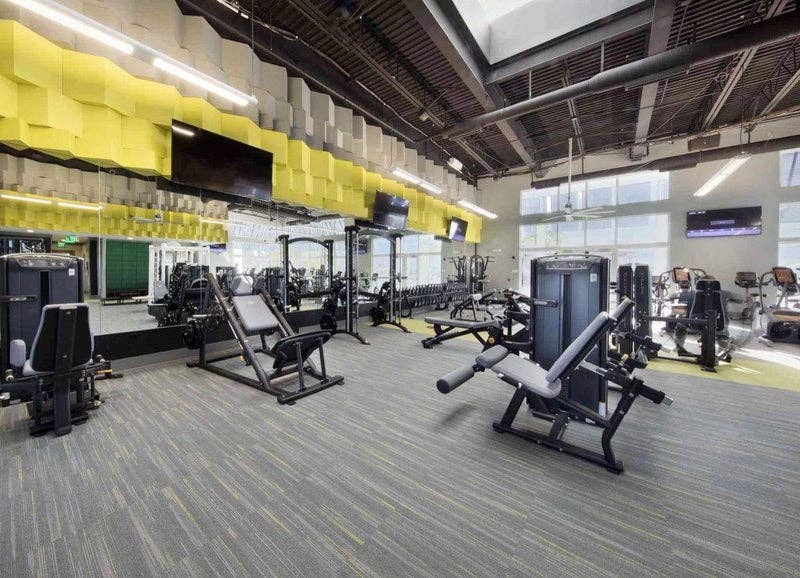 NICE PRVT BEDROOM / SHARED BTH