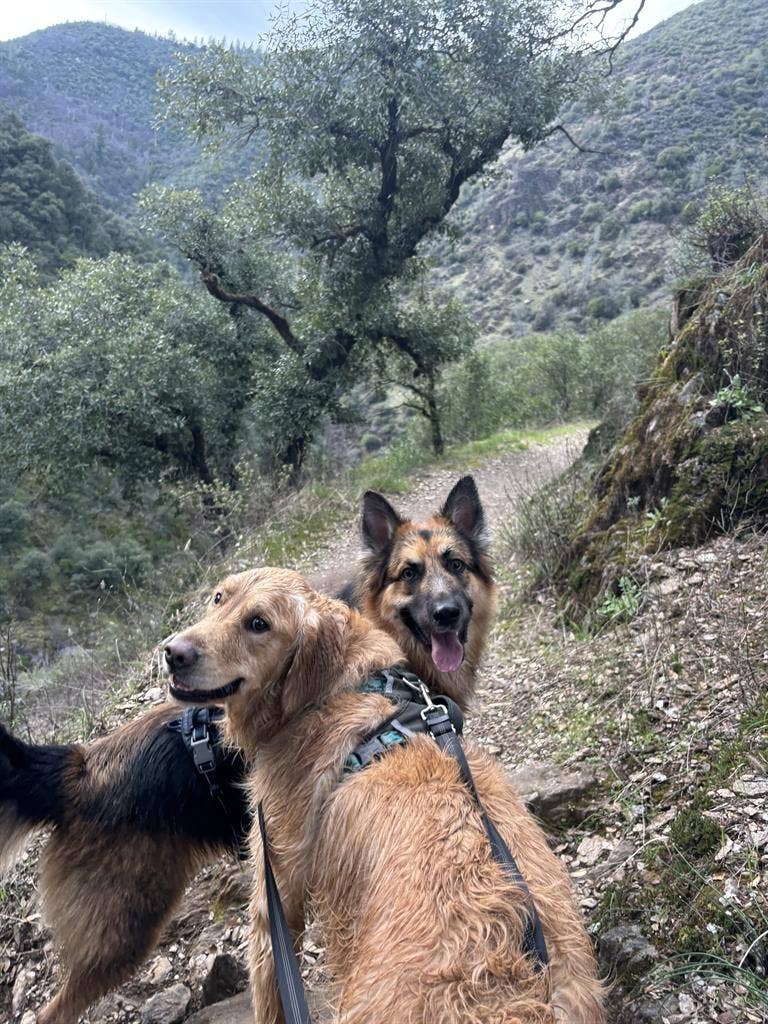 Need a roommate in Rocklin :)